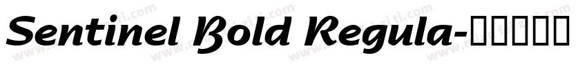 Sentinel Bold Regula字体转换